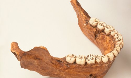 U izraelskoj spilji otkrivene najstarije kosti suvremenog čovjeka