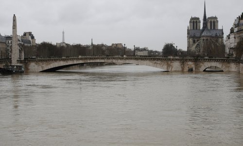 Seina prijeti Parizu: Dio Louvrea zatvoren, Pariz pod najezdom štakora
