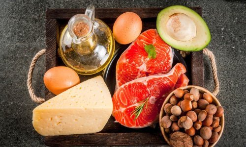 Stručnjaci upozoravaju: Zamjena ugljikohidrata sirevima i mesom može skratiti život