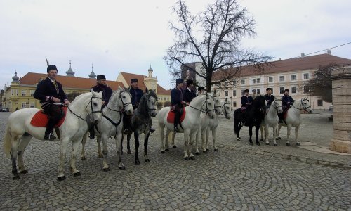 Više od 120 pokladnih jahača projahalo Županjom u sklopu 51. šokačkog sijela