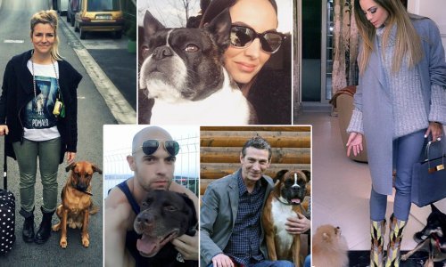 Ove naše zvijezde znaju što je to bezuvjetna ljubav kućnih ljubimaca