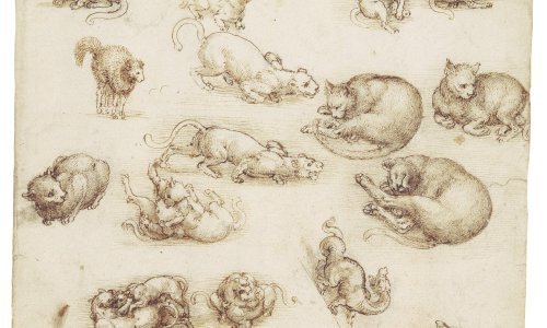 Britanska kraljica odlučila je pokazati koje crteže slavnog da Vincija krije u svojoj kolekciji