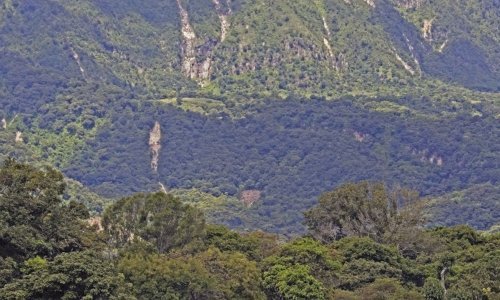 UN pozvao na sadnju stabala u izbjegličkim logorima radi sprečavanja sukoba i deforestacije
