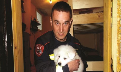 Lov na guštera od metar i pol, majmun na radiologiji, gašenje plantaže marihuane... Nećete vjerovati što sve naši vatrogasci moraju raditi