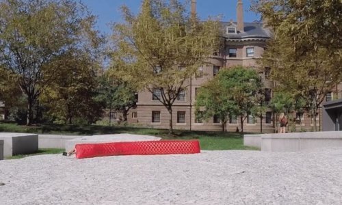 Ova neobična mehanička zmija kreće se poput prave