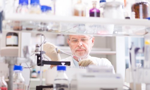 Uzgoj organa je budućnost, a samo je pitanje hoće li nas spašavati hibridna ovca, svinja ili koza