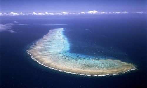 Oceani sve kiseliji, koraljni grebeni počet će propadati i prije nego što se mislilo