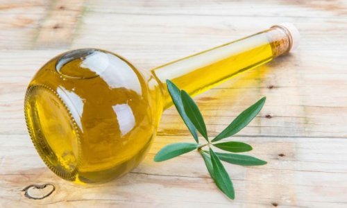 Maslinovo ulje koristite samo u kuhinji? Zašto?