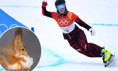 Procurila snimka najkomičnijeg trenutka u Pjongčangu; nitko nije bio spreman na nešto takvo!