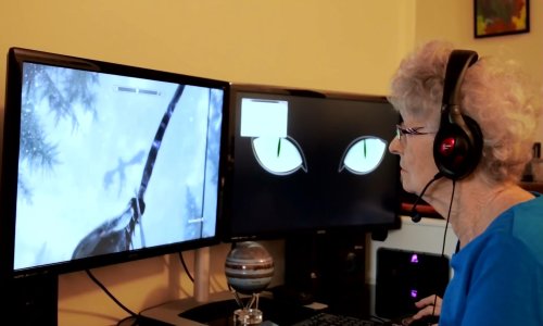 Volite se igrati na računalu? Ne koliko ova baka!