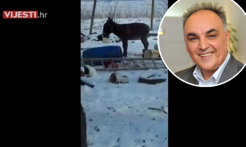 Antun Ponoš ima veliko srce! Spašava od sigurne smrti magarce nemarnog vlasnika