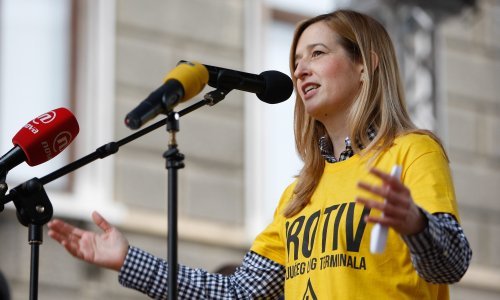 Ahmetović: Tražit ćemo ocjenu ustavnosti posebnog zakona o LNG terminalu