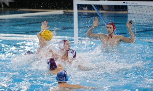 Jug protiv Brescije napravio veliki korak prema završnici Lige prvaka