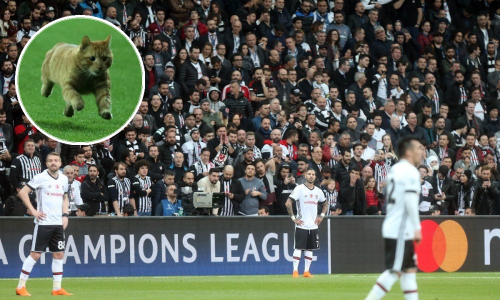 Stadion pun napaljenih navijača, a utakmicu Lige prvaka prekine baš – on!