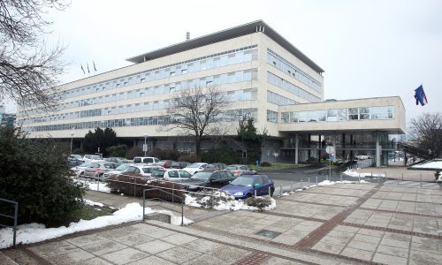 Pronašli smo još jednu familiju koja radi u zagrebačkoj upravi