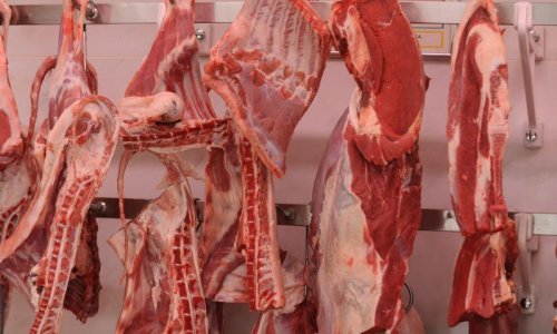 Govedina u Mađarskoj zaražena antraksom