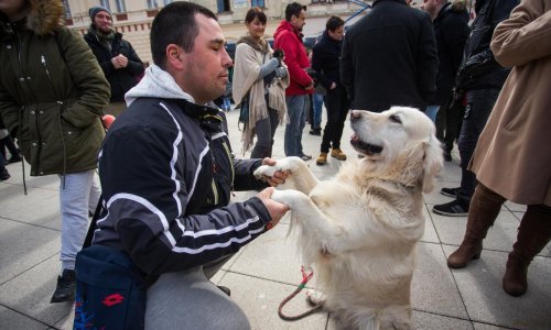 Osječani prosvjedovali zbog trovanja životinja