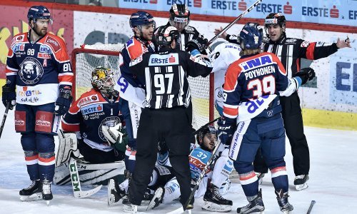 Drama 'medvjeda' s nesretnim završetkom; utakmica bila i prekinuta na sat vremena