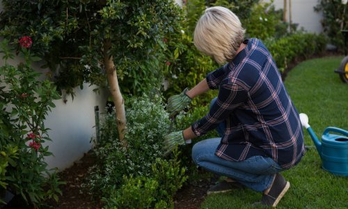Vrijeme je za uređenje vrta: Evo kako ga probuditi iz zimskog sna i vratiti mu sjaj