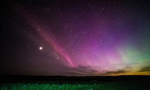 Svi znate Auroru Borealis, no jeste li čuli za ljepotana Stevea?