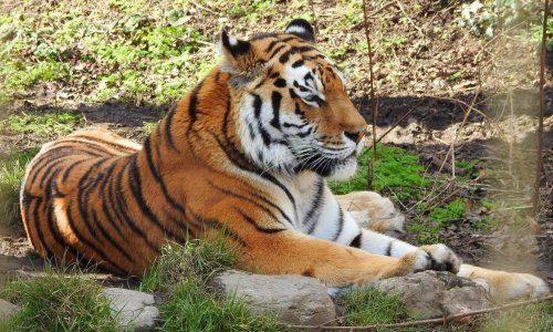 Upoznajte stanovnike najstarijega zoološkog vrta na svijetu