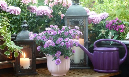 Trendovi koji će se ovoga proljeća ušuljati u svaki vrt, na terasu ili balkon