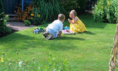 Ma koliko se trudili, nemate travnjak iz snova? Možda je problem u ovome...