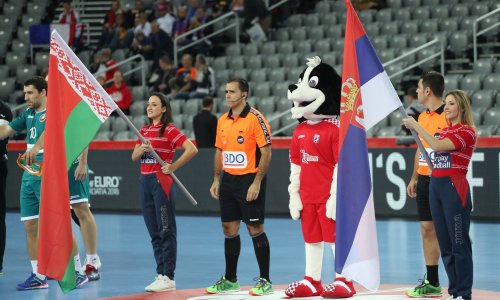 Srpskom rukometu žestoka pljuska EHF-a zbog nepromišljene odluke ministra policije