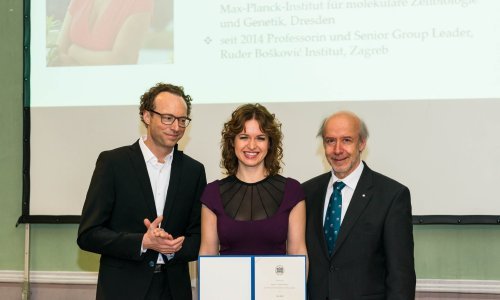 Iva Tolić dobitnica prestižne nagrade Austrijske akademije znanosti