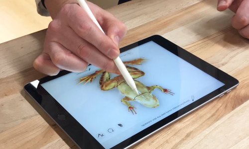 Ako se ove glasine obistine, novi iPad mogao bi biti pravi hit