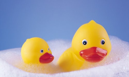 Igračke za kupanje leglo su bakterija