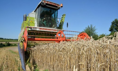 Poljoprivredna bruto proizvodnja u 2017. smanjena 8,5 posto