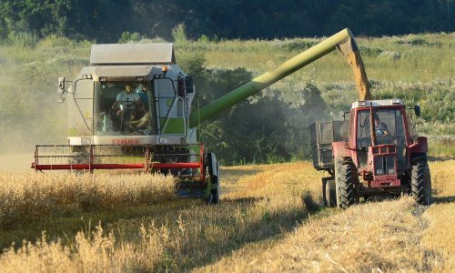 Proizvođači pšenice nezadovoljni ponuđenim otkupnim cijenama od 0,95 do 1,20 kn/kg