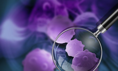 Hrvatska je u svjetskom vrhu po smrtnosti od raka i zato je važno sudjelovati u programima prevencije