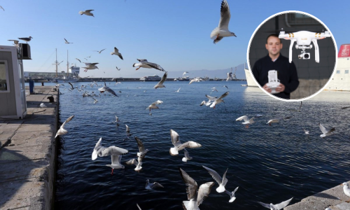 Belgijci će se protiv galebova boriti - dronovima