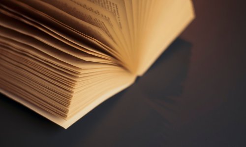 Predstavljena postumno objavljena knjiga Miljenka Smoje 'Judi i beštije'