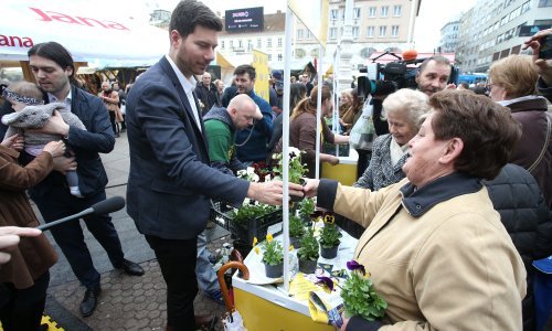 Živi zid otkupit će jagode od domaćih proizvođača i podijeliti građanima