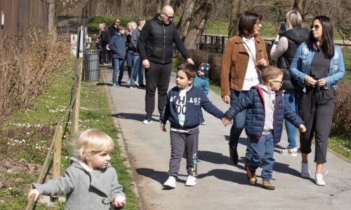 Pogledajte koliko u Hrvatskoj ima obitelji i od kojih se članova sastoje