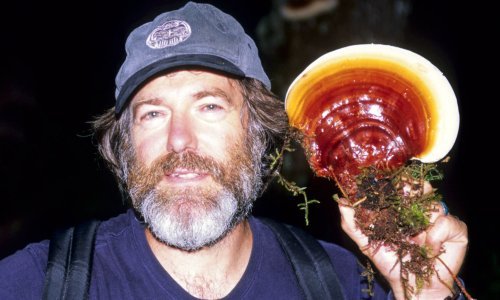 Zvjezdane staze posute sporama ljekovitih gljiva