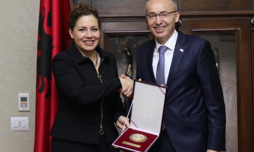 Krstičević: Spremni smo ponuditi nadzor zračnog prostora Albaniji kada bude spremna