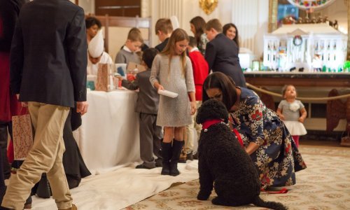 Kujica obitelji Obama ugrizla posjetiteljicu Bijele kuće