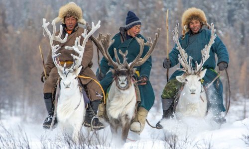 Ovi Mongoli još uvijek jašu sobove