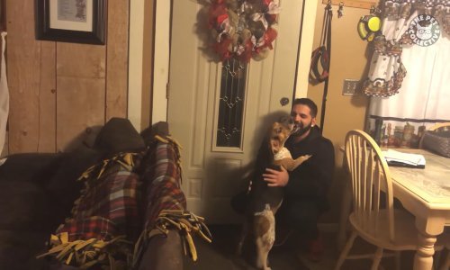 Najbolji ljubimci tjedna apsolutni su urnebes