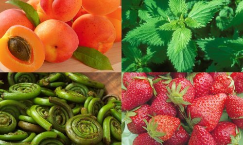 Uz ove proljetne namirnice kilogrami se puno lakše tope