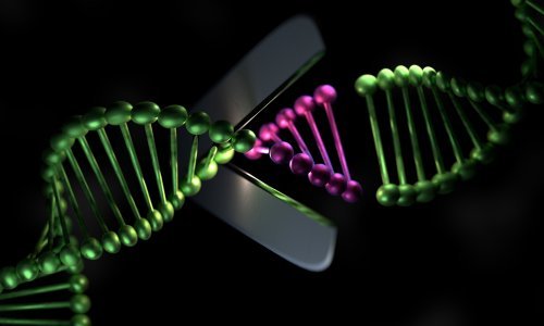 Revolucionarna genska terapija mogla bi pomoći i Plenkoviću, Samprasu, Zidaneu...