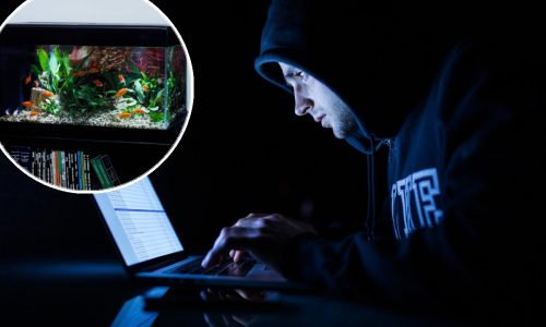 Hakeri provalili u prestižni kasino putem - akvarija