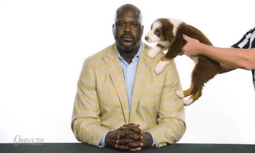 Nemojte igrati poker s Shaquilleom O'Nealom – izgubit ćete!