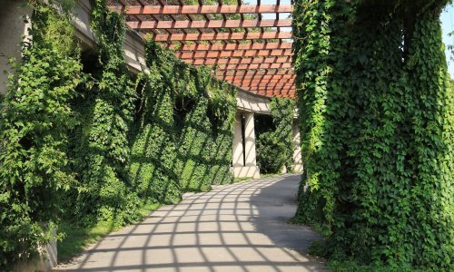 Zagrebački Botanički vrt dobiva pergolu vrijedu 2,4 milijuna kuna