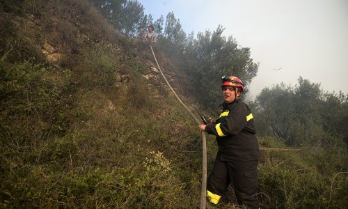 Lokaliziran požar na Korčuli, izgorjelo 10 hektara borove šume
