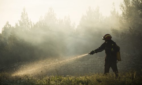 U Dugom Ratu u požaru izgorjelo 10 hektara mlade borovine